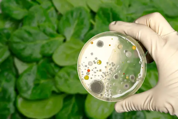 Curso Livre: Microbiologia Ambiental